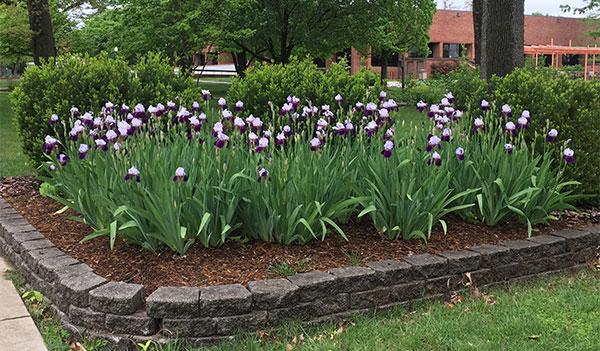 Everyone knows Grounds beautifies, but we can do so much more.