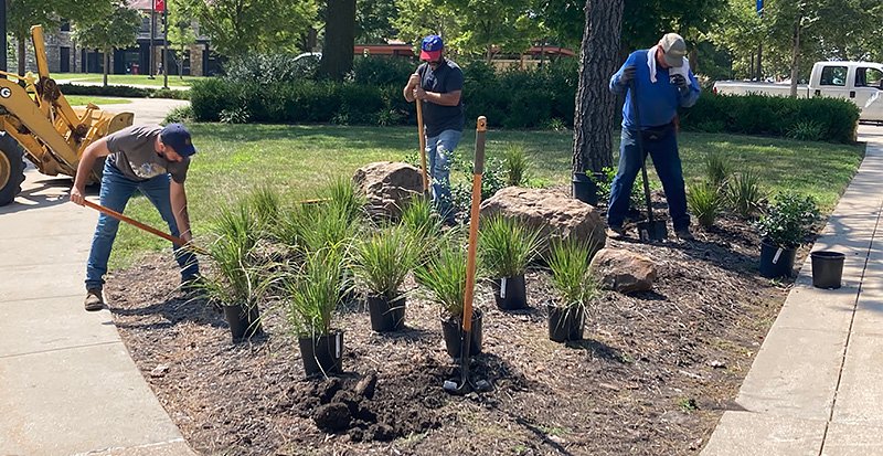 Planting at Strong Hall.jpg