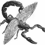 flying-scorpion-150x150.jpg
